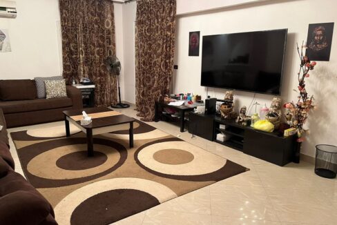 300 SQM Apartment 5th district Reception